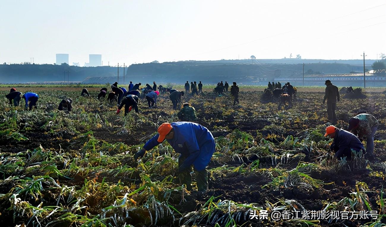 盂县人力资源和社会保障局最新项目概览与动态