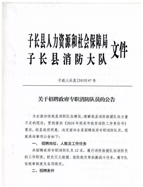 子长县人民政府办公室最新招聘启事