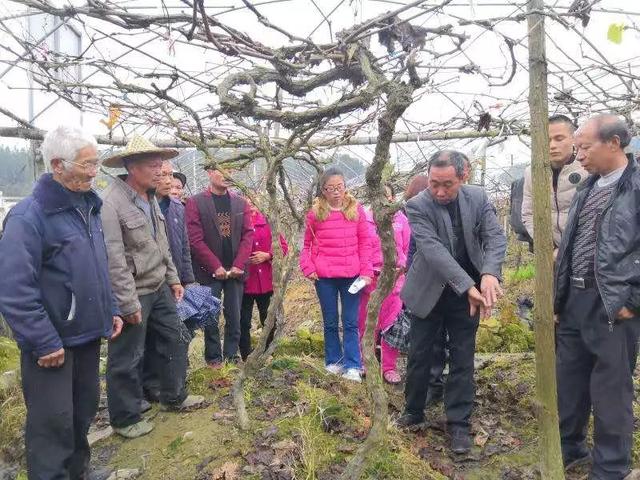 松罗乡新项目，引领乡村发展的全新动力源泉