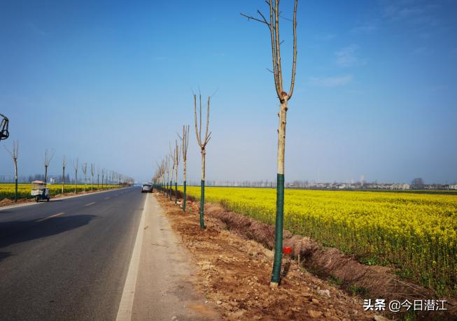 潜江市住房和城乡建设局领导团队最新调整及未来展望