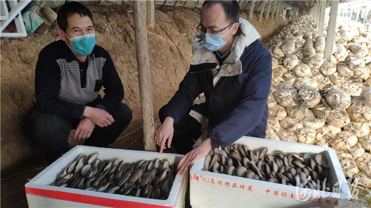 三河市交通运输局发展规划概览