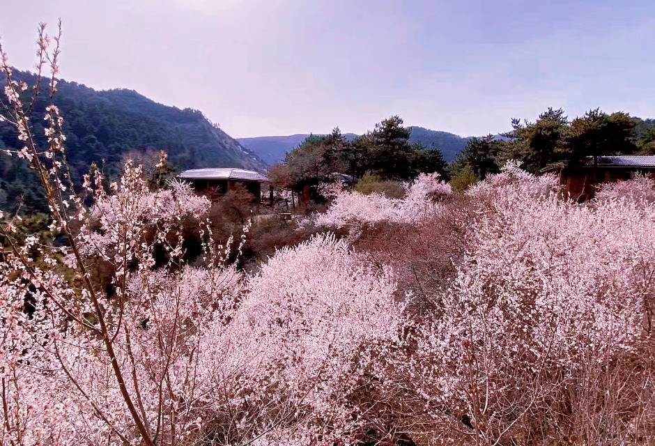 杜儿坪街道办事处最新项目概览——太原市万柏林区山西省太原市最新项目进展揭秘