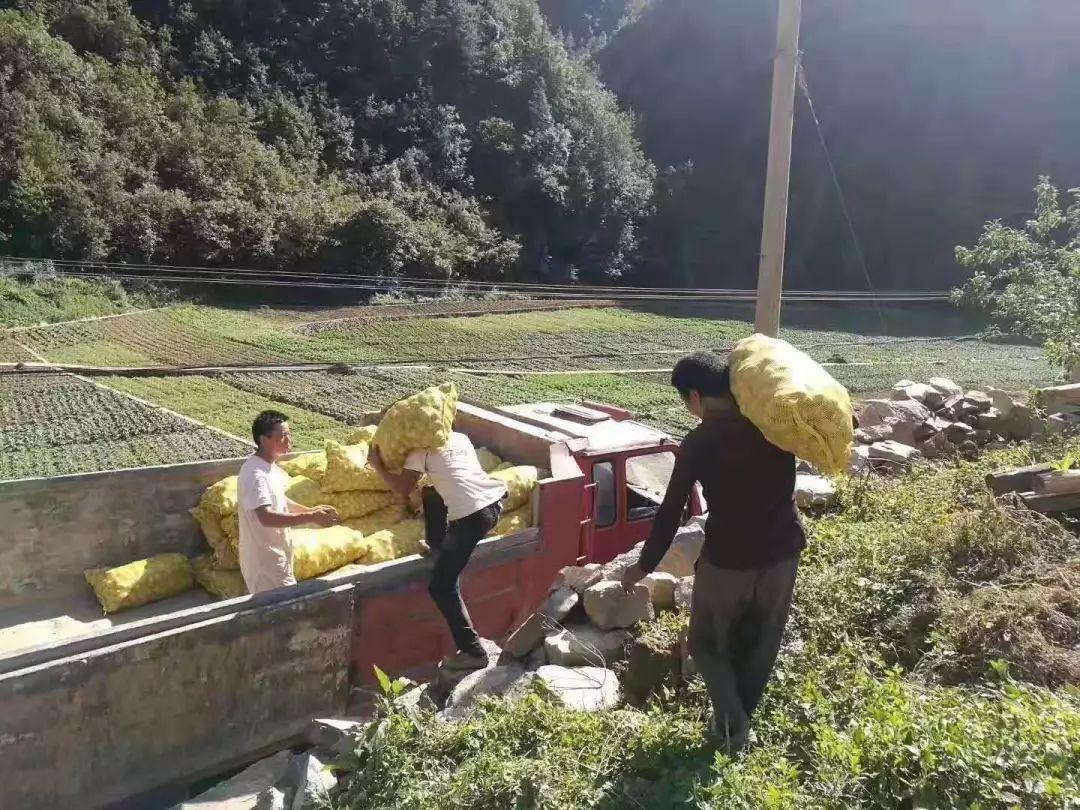 舟山市扶贫开发领导小组办公室新项目，地方经济与社会发展的强大推动力